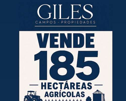 Campo 185 Hectáreas Agricolas Rueda ( Santa FE)