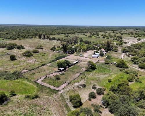 1491 Has Ganaderas de Cría - la Gallareta - Vera - Santa FE