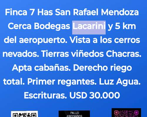 Finca 7 Has San Rafael Mendoza. las Paredes