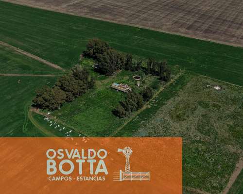 Campo 100% Agricola Sobre Ruta a 10km de Tres Arroyos