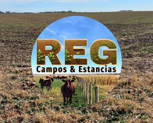 420 Has - Doblas, L.p.