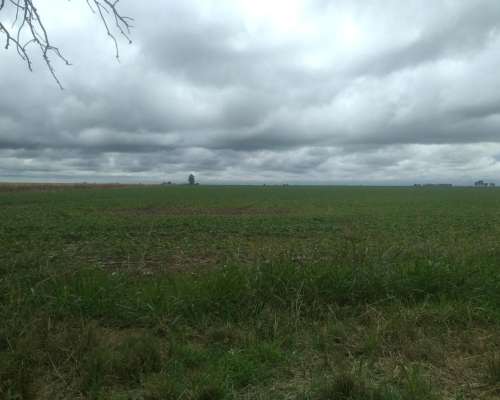 Invertir en Tierra HOY ES Asegurar el Mañana.