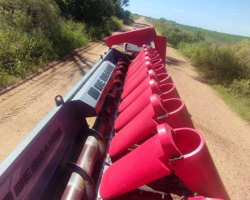 Maicero de Grande 11 a 52
