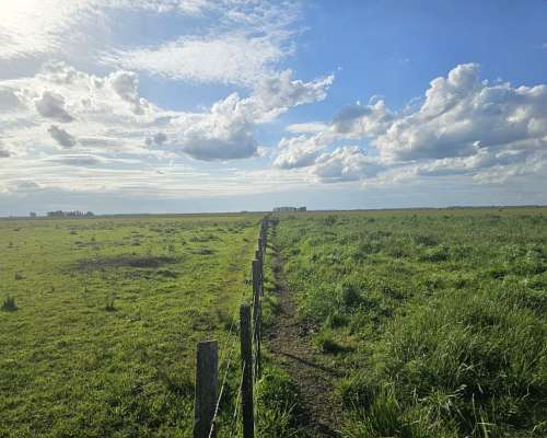 Campo Mixto Venta Chascomus 350 Ha
