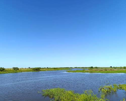 Isla Ganadera 56 Ha en Venta – Alejandra, Santa FE