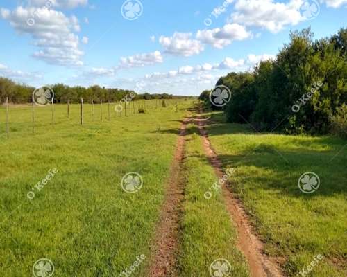 Campo en Venta de 3945 Has San Luis. Mixto