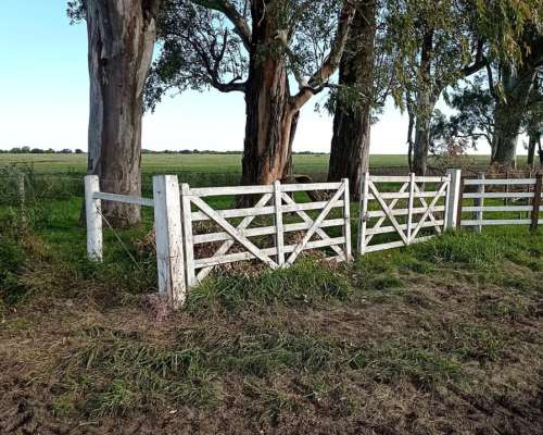 Campo Mixto de Gran Receptividad Excelente Ubicación