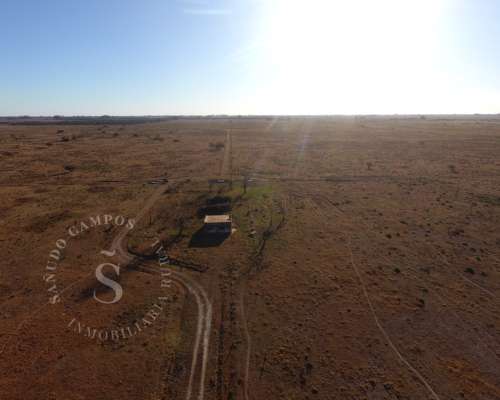 Campo Ganadero. Hipatia, Santa FE. 118 HA.