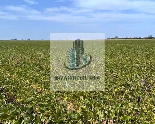 Oportunidad por Tiempo Limitado: Campo Listo para Trabajar