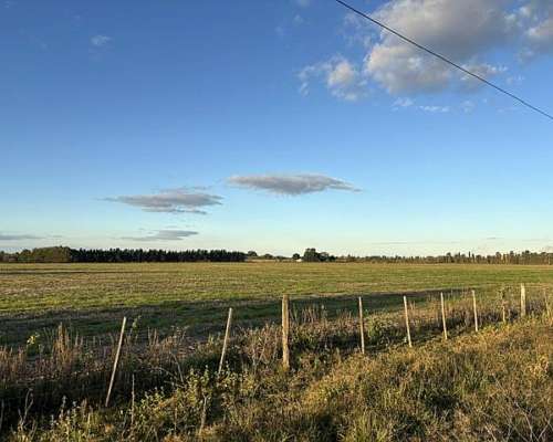 Campo de 20 Has Agrícolas en San Pedro, Asfalto y Luz.