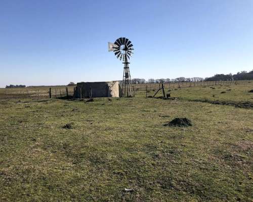 Ramos Otero, Balcarce, Buenos Aires - 148 Ha