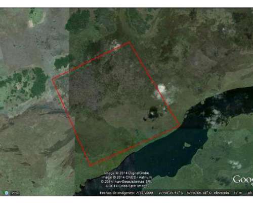 Palmar Grande, Corrientes - 1300ha