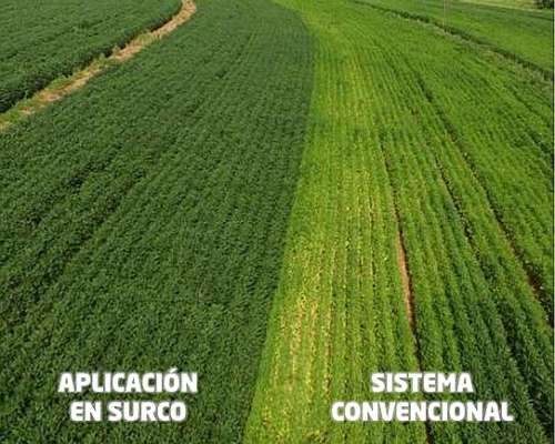 Aplicaciones en Surco Leaf BY Orion