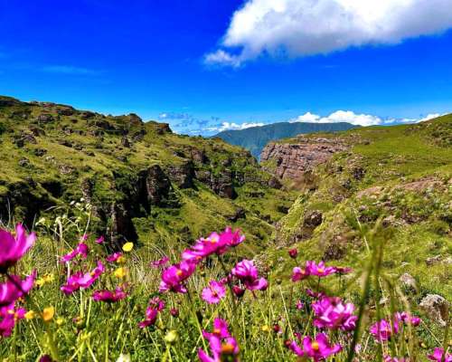 Pcia. de Salta - el Candado 6142 Has