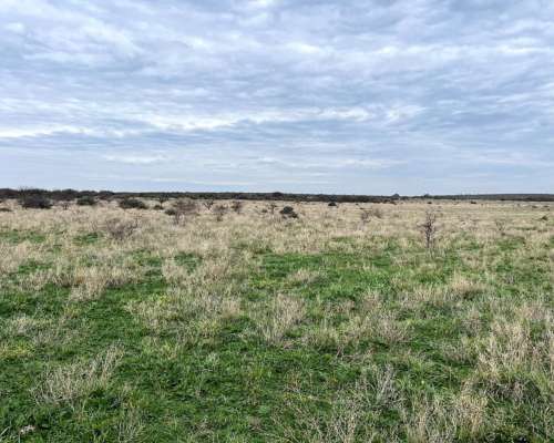 830 Hectáreas San German, Pdo. de Puan