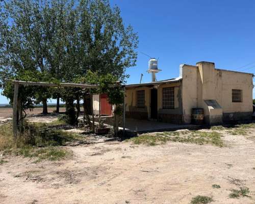 Finca en Venta 30 Ha / las Pintadas - Tunuyán