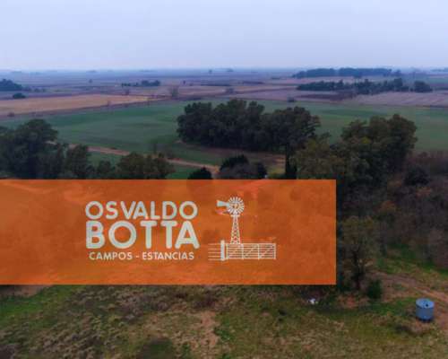 Campo Agricola en Venta 90 Has Bolívar, Buenos Aires