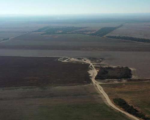 Santiago del Estero Lavalle 1200 Has Agricolas
