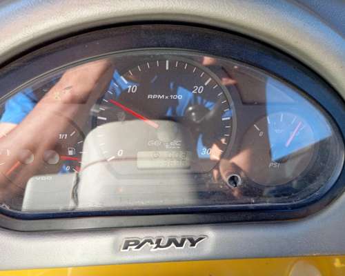 Pauny A210 Vendo o Permuto. Camioneta, Miel, Acienda