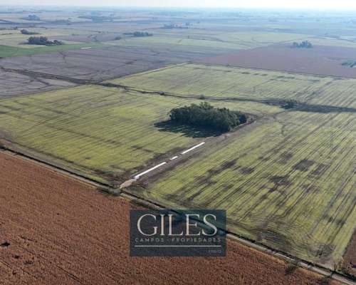 Campo Agrícola 86 Hectáreas