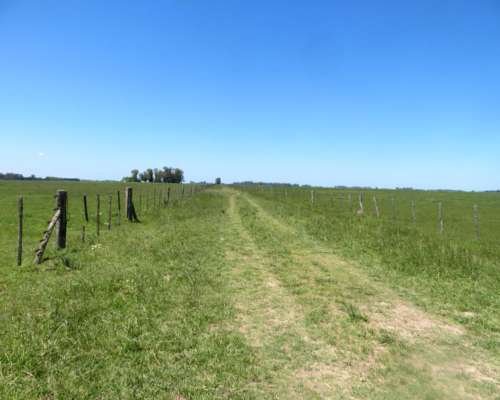 Paraje Oliden - 220 Ha - Buenos Aires