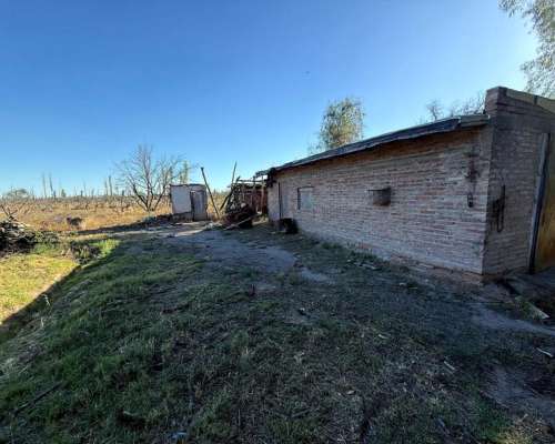 Finca en Venta de 9 Hectáreas / San Rafael - Mendoza