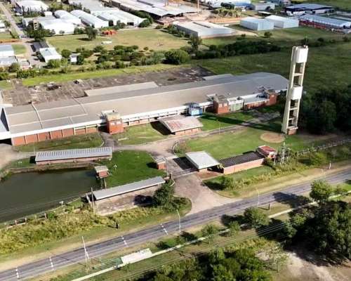 Deposito/industria - Establecimientos Industriales