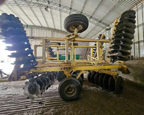 Cele Vertebrada de 60 Platos