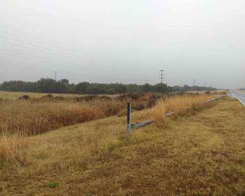 Dueño Vende Campo 47 Ha en Pozo Cavado S/ Ruta 146