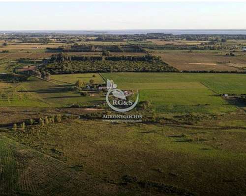 Uruguay - Campo en Venta en Carmelo