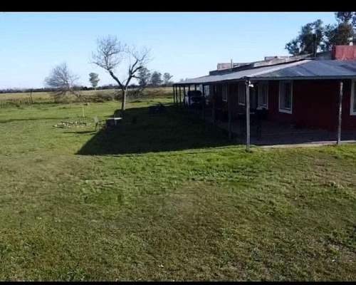 Vendo 67 Has Mixtas Aurelia Norte