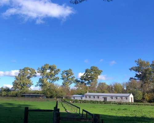 Casco de Campo Ecuestre Ideal para Haras