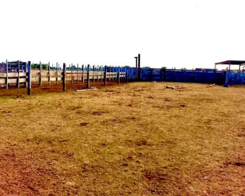 Campo Mixto de 3000 Hectáreas