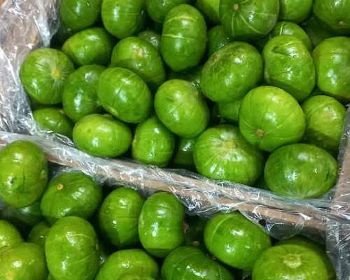 Zona Villa de Soto Campo Ganadero