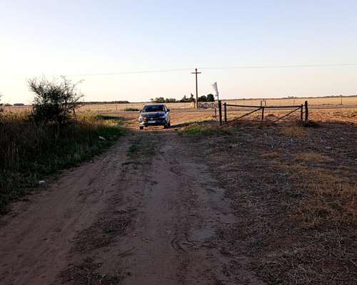 Campo Entre Rio Tercero y Tancacha