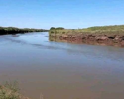 208 Hectáreas Mixtas, Viamonte - CBA