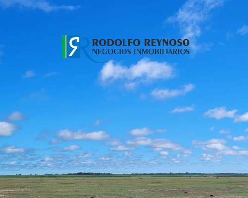 700 HA. en Gualeguaychú, Entre Ríos