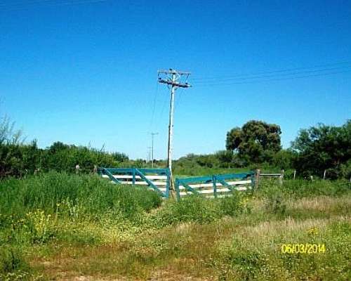 Excelente Campo Ganadero a 8 KMS del Centro de San Luis