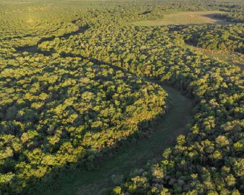 1.800ha Agricolaganaderas en General San Martin, Chaco