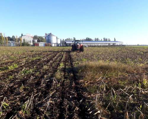 Descompactador de Suelo Secman M-3600