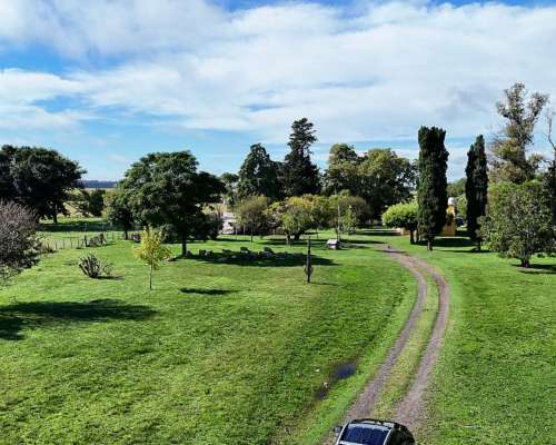 Campo Productivo de 67 Ha en Venta en Baradero Sobre Ruta