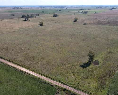 Campo Agrícola de 130 Hectáreas en Gualeguaychú.
