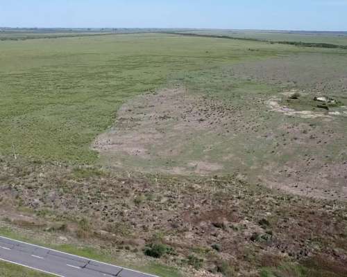 Venta 424 Has Ganaderas en San Genaro. Sobre Ruta Nº65.