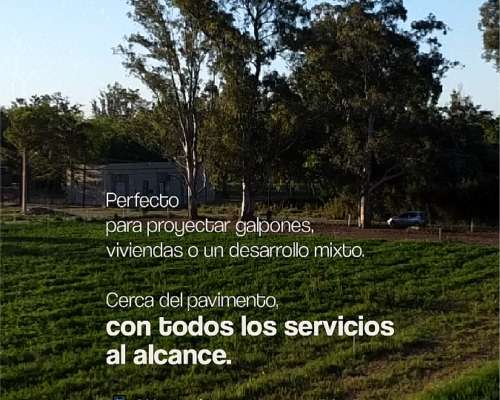 En Venta 1 Hectárea en Plaza San Francisco, Prov. de Córdoba