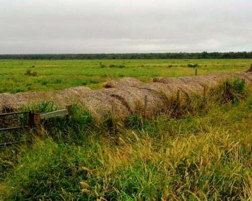 La Estrella - 2755 Ha - Salta