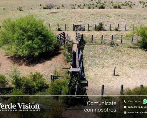 1007 Has en Venta - Pcia del Chaco, Venados Grandes