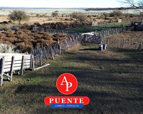 4.000 HA. Abramo, la Pampa