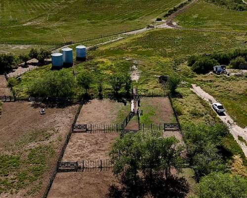 2431 Has Secano en Venta Patagones