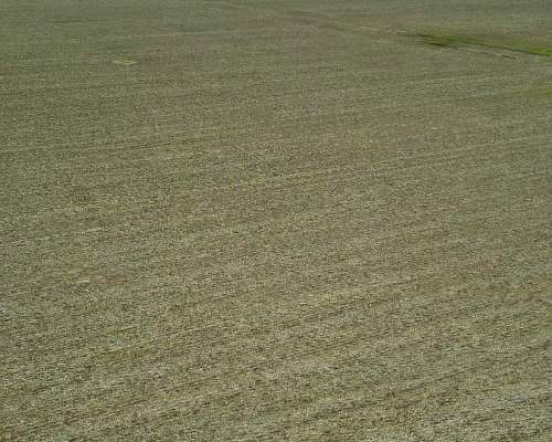 500 Ha Ing. Luiggi