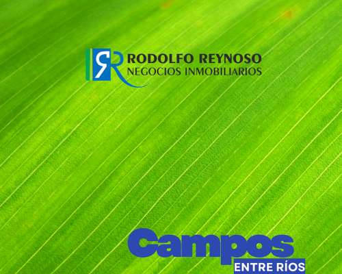 Lotes en Colón: Predio Completo o Fracciones